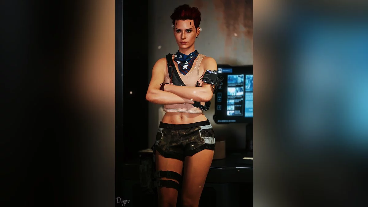 Cyberpunk 2077 — Наборы аксессуаров