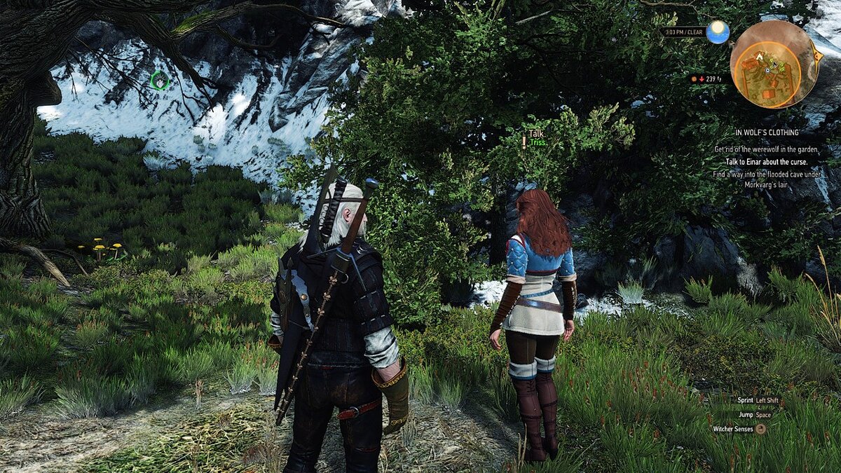 E3 mods the witcher 3 фото 109