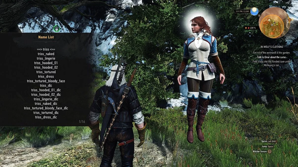 The Witcher 3: Wild Hunt - Complete Edition — Концепт Трисс