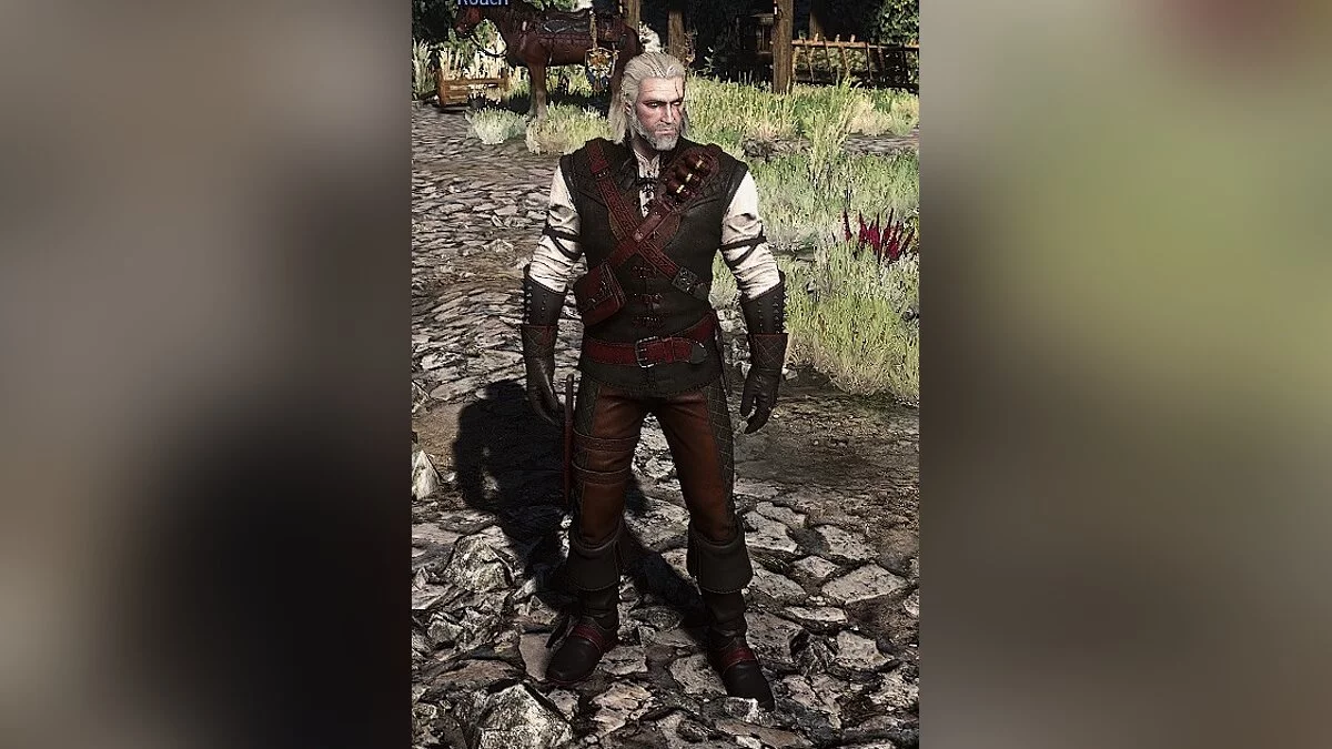 The Witcher 3: Wild Hunt - Complete Edition — Ретекстур брони мантикоры