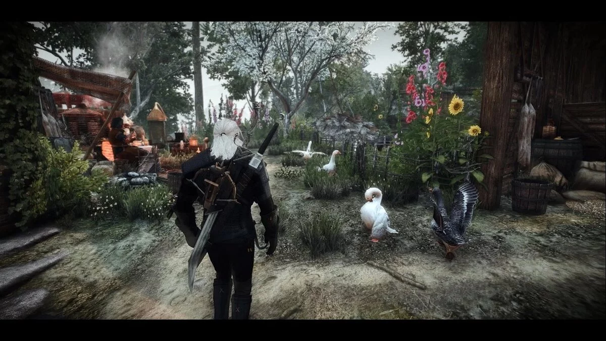 The Witcher 3: Wild Hunt - Complete Edition — Реалистичные цвета