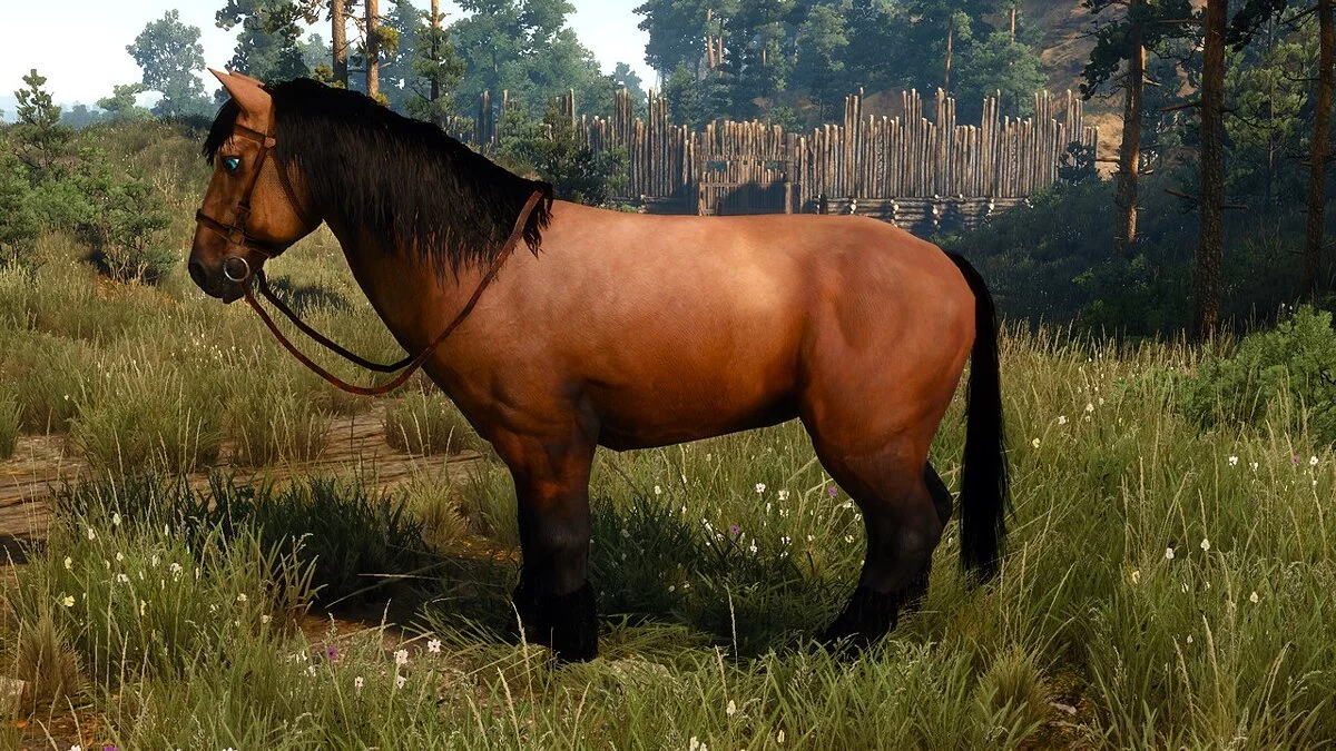 The Witcher 3: Wild Hunt - Complete Edition — Варианты толстой плотвы