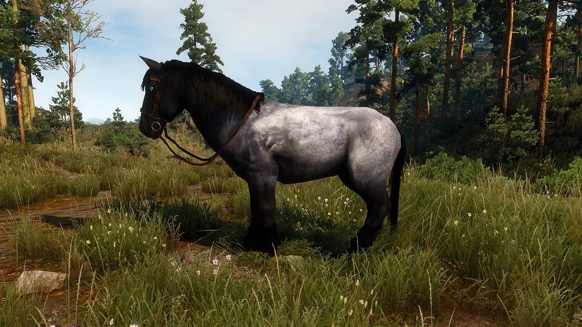 The Witcher 3: Wild Hunt - Complete Edition — Варианты толстой плотвы