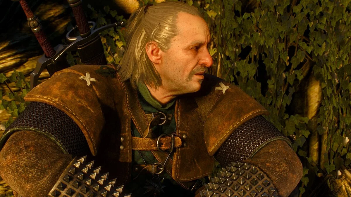 The Witcher 3: Wild Hunt - Complete Edition — Блеск на прическах