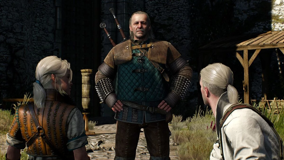 The Witcher 3: Wild Hunt - Complete Edition — Блеск на прическах