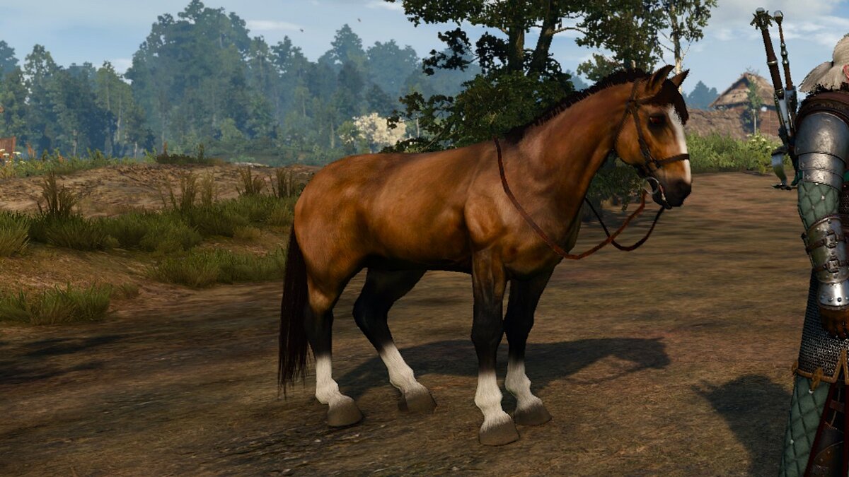 The witcher 3 horse mod фото 24