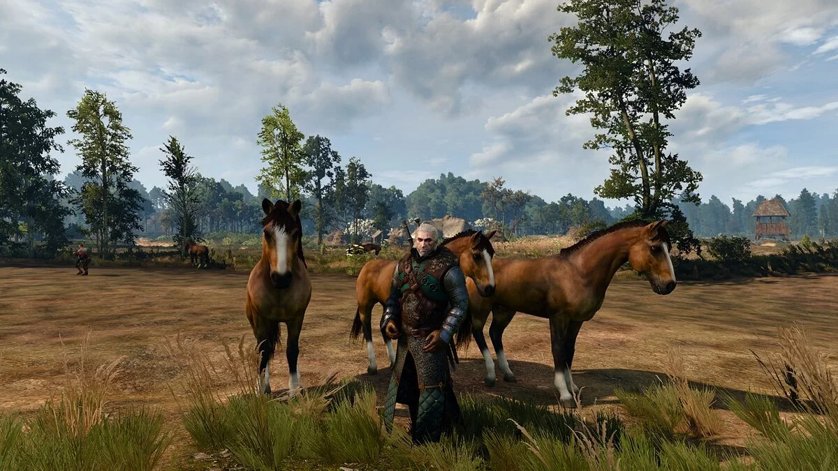 The Witcher 3: Wild Hunt - Complete Edition — Улучшенная Плотва