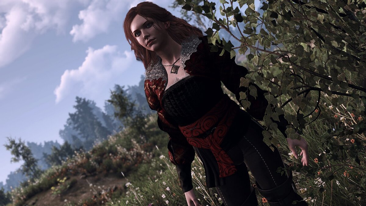 The witcher 3 ladies of the woods скачать фото 56