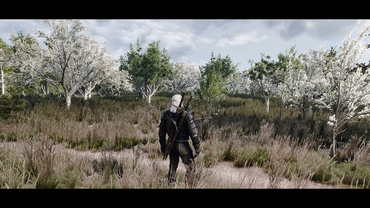The Witcher 3: Wild Hunt - Complete Edition — Фотореализм с высочайшей производительностью