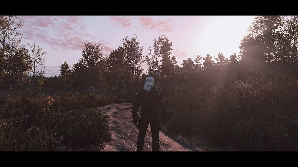 The Witcher 3: Wild Hunt - Complete Edition — Фотореализм с высочайшей производительностью