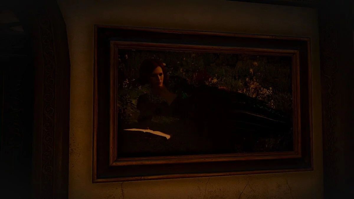 The Witcher 3: Wild Hunt - Complete Edition — Картины для Корво Бьянко