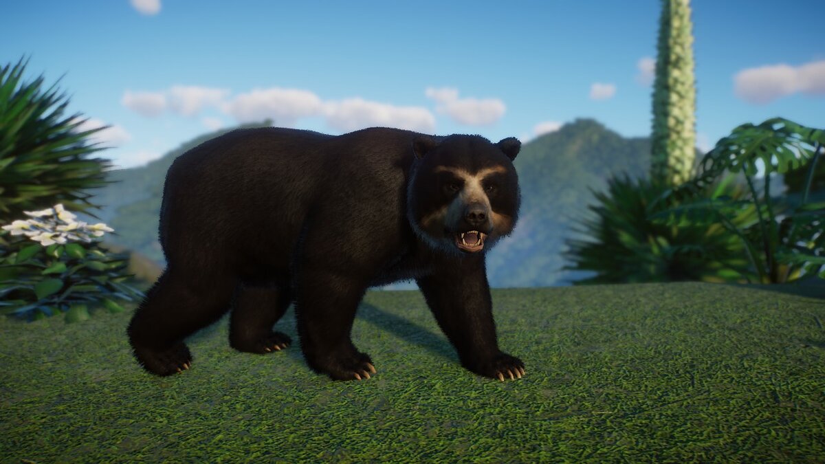 Planet Zoo — Очковый медведь