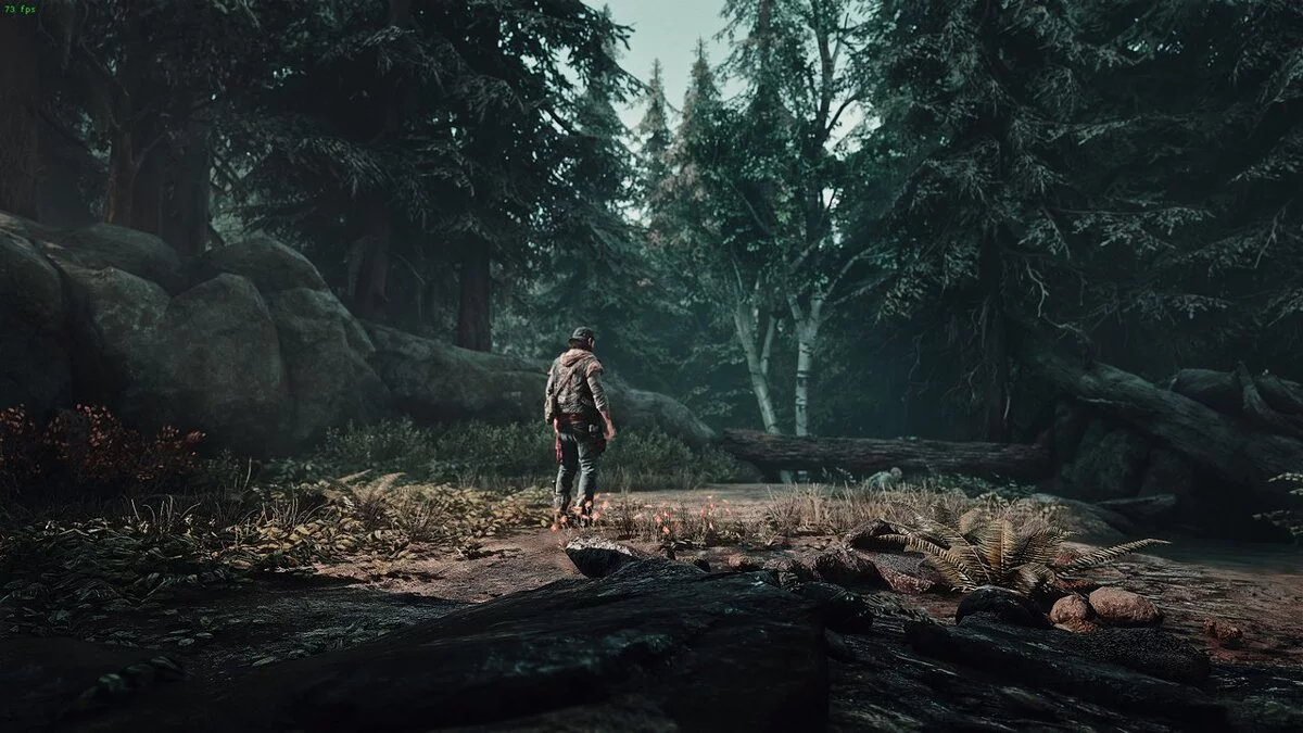 Days Gone — Улучшение визуальных эффектов