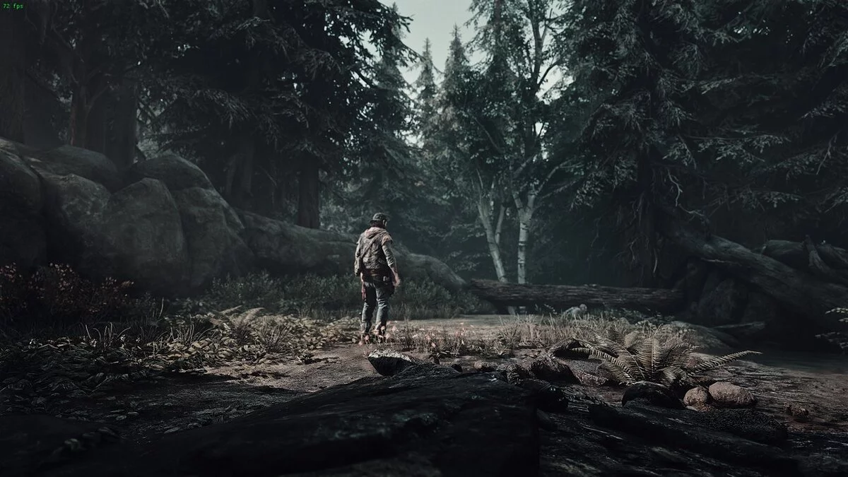 Days Gone — Улучшение визуальных эффектов