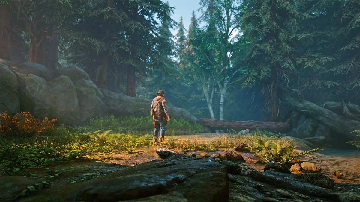 Days Gone — Улучшение визуальных эффектов