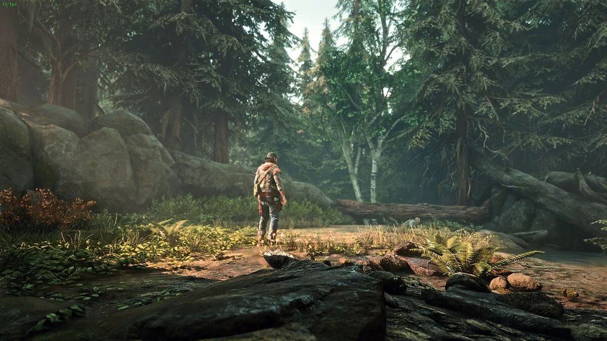 Days Gone — Улучшение визуальных эффектов