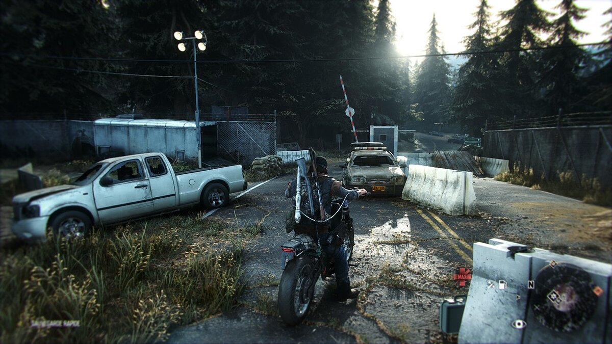 Days Gone — Рассвет мертвецов - решейд