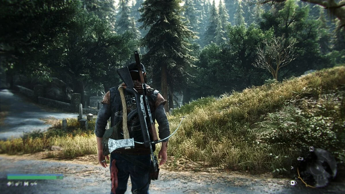 Days Gone — Рассвет мертвецов - решейд