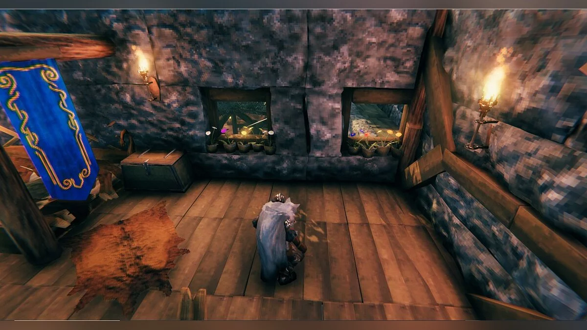 Valheim — Комнатные растения