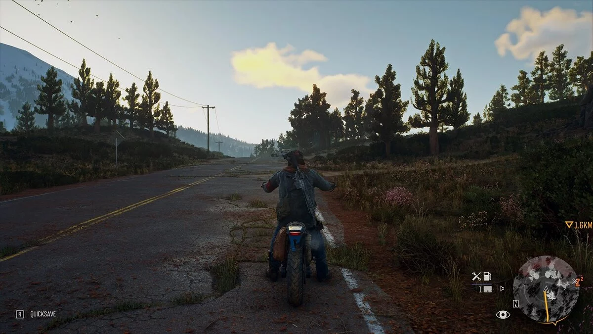 Days Gone — Усиление цвета