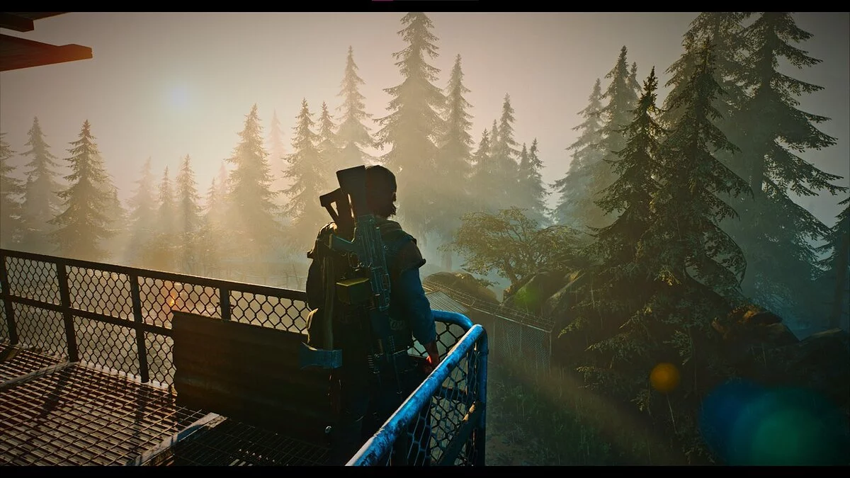 Days Gone — Улучшение цветовой насыщенности