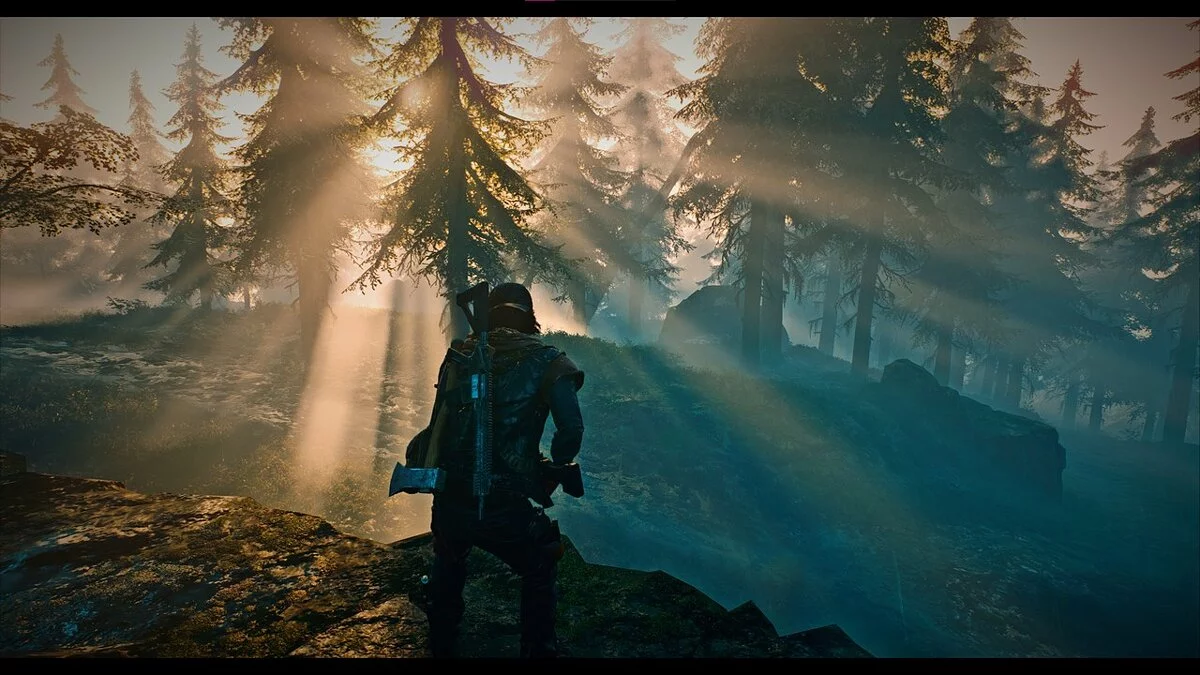 Days Gone — Улучшение цветовой насыщенности