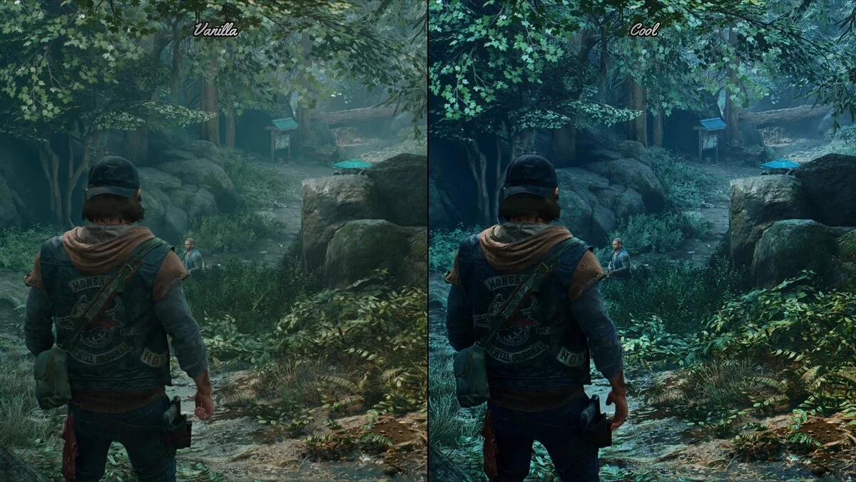 Days Gone — Улучшение графики и цвета