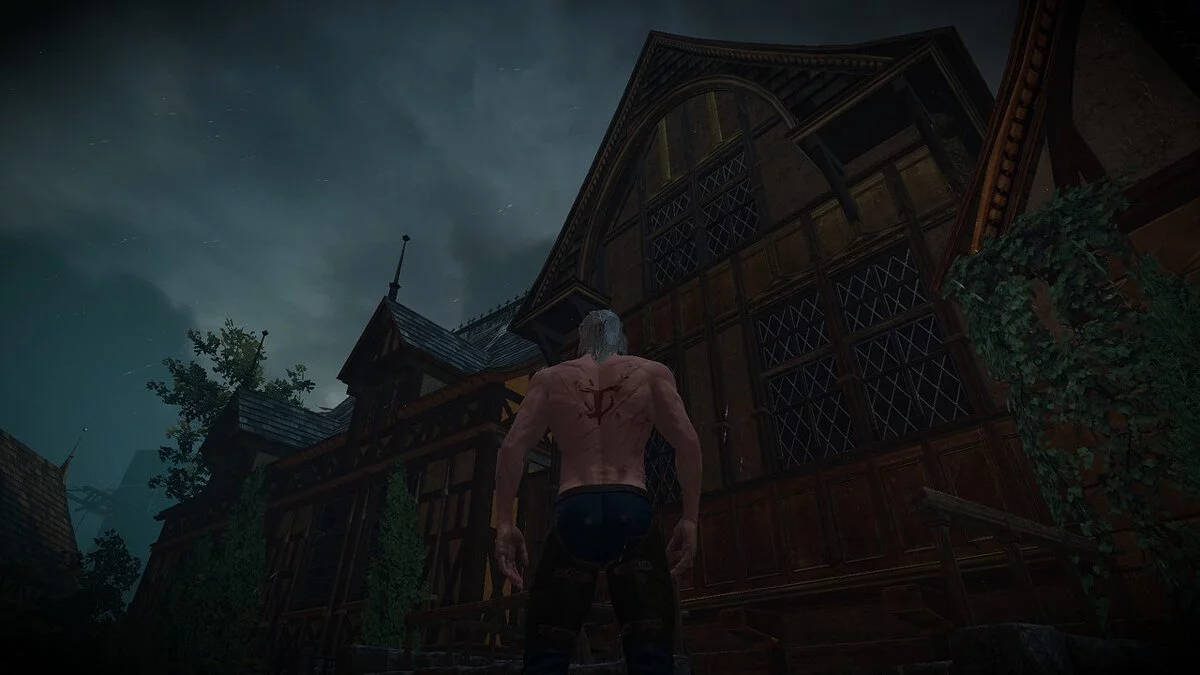 The Witcher 3: Wild Hunt - Complete Edition — Метка убийцы на спине