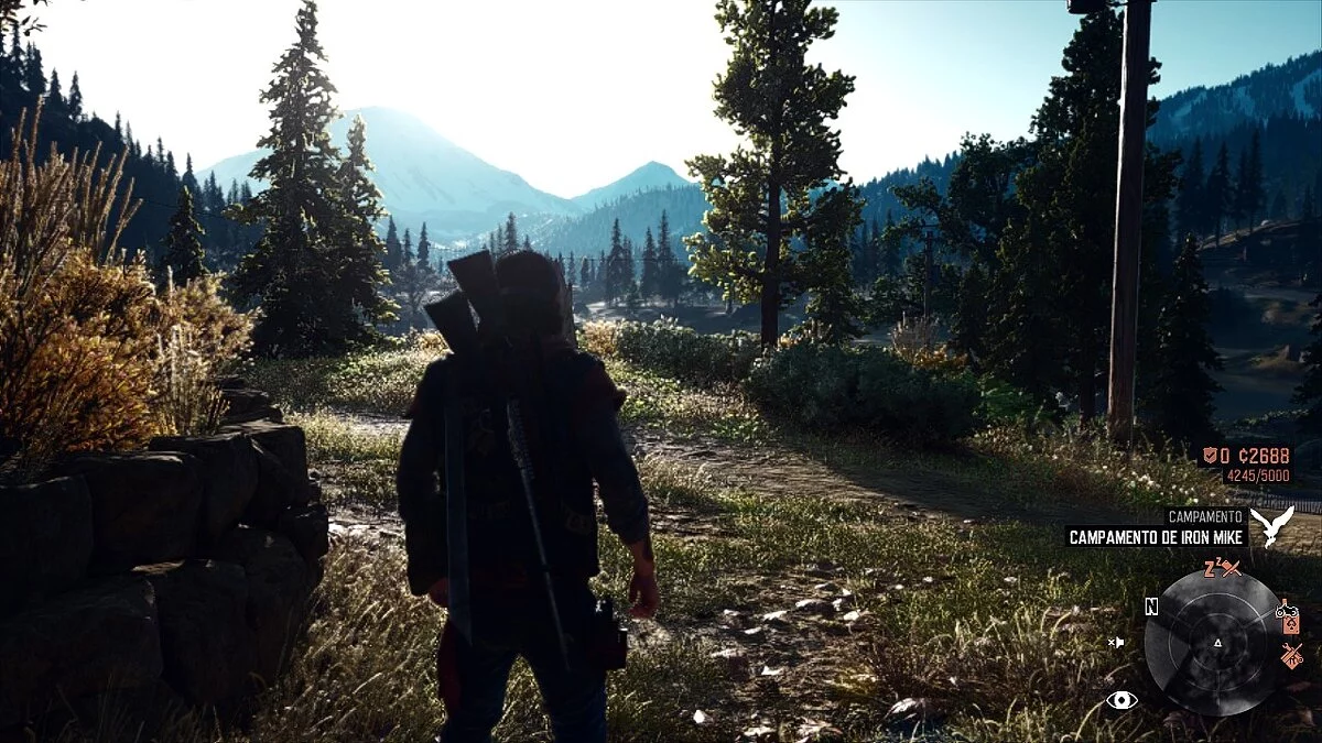 Days Gone — Реалистичные цвета