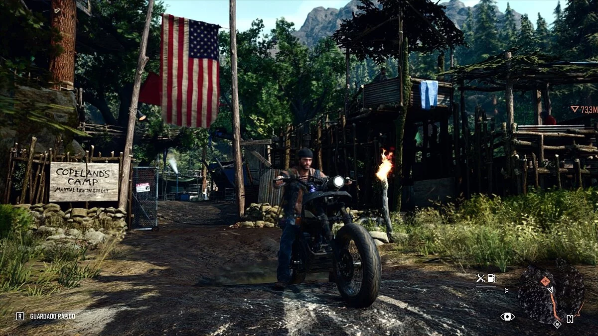 Days Gone — Реалистичные цвета