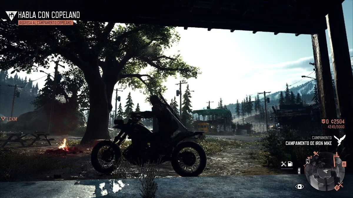 Days Gone — Реалистичные цвета