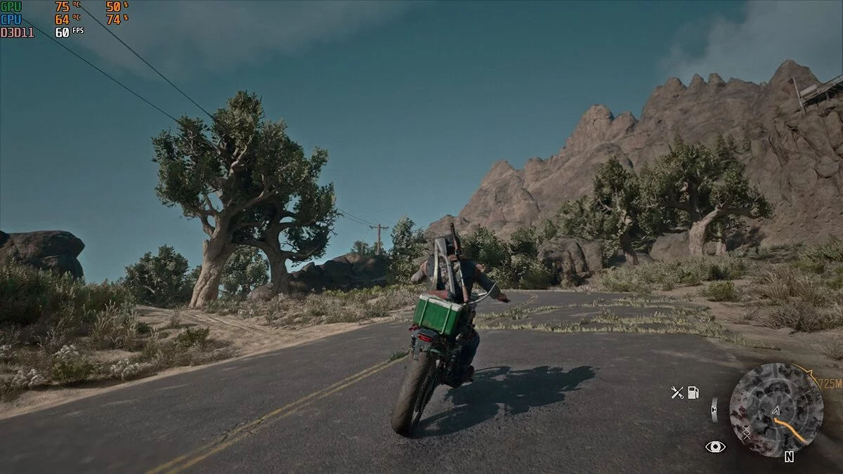 Days Gone — Реалистичная графика