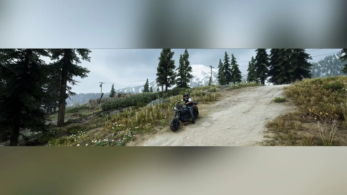 Days Gone — Улучшенные эффекты