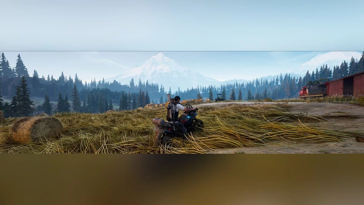 Days Gone — Улучшенные эффекты
