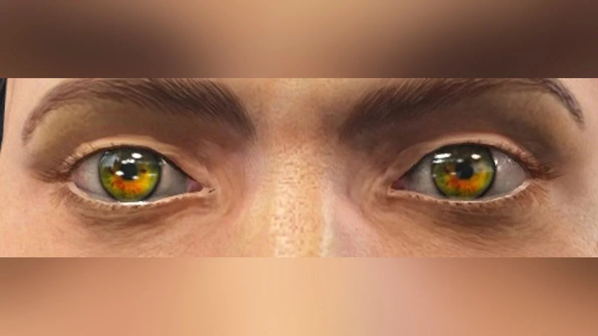 Fallout 4: Game of the Year Edition — The Eyes Of Beauty Fallout Edition