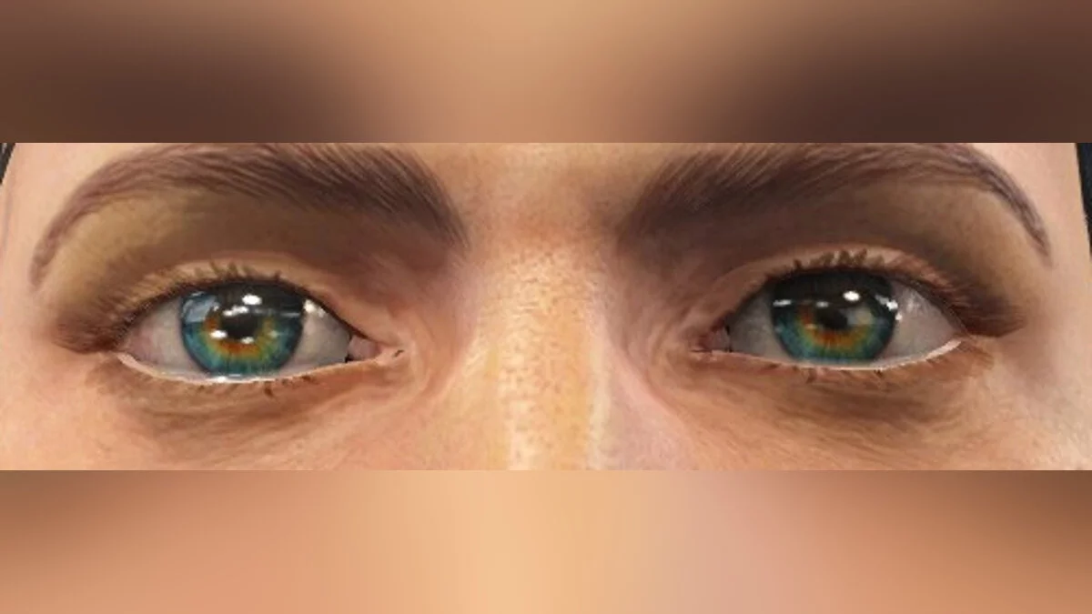 Fallout 4: Game of the Year Edition — The Eyes Of Beauty Fallout Edition