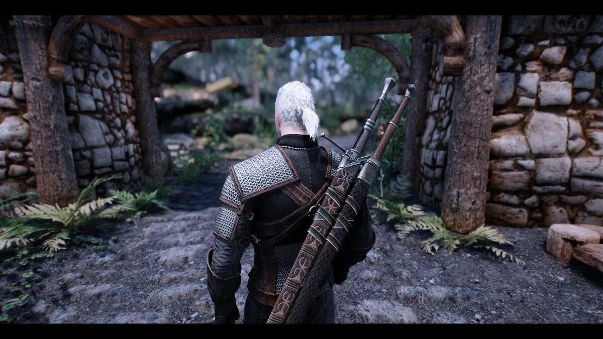 Elder Scrolls 5: Skyrim Special Edition — Геральт из Ривии