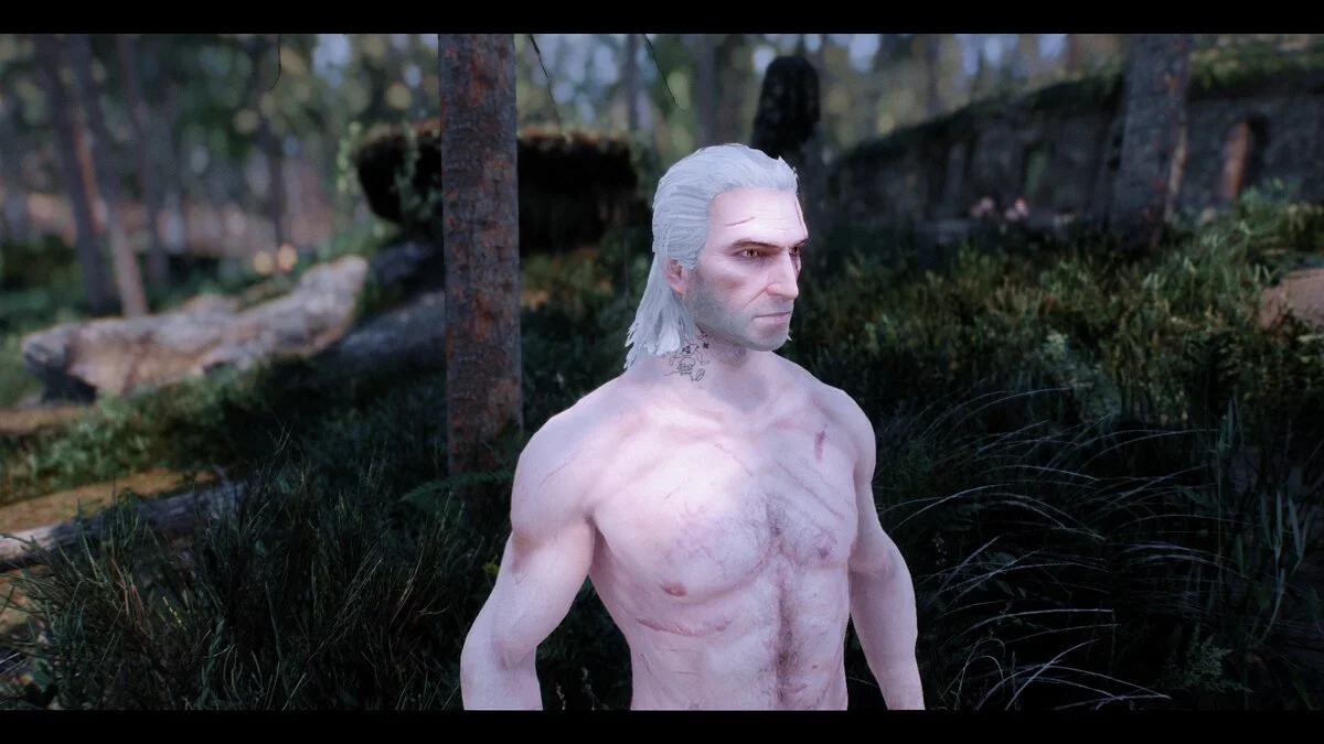 Elder Scrolls 5: Skyrim Special Edition — Геральт из Ривии