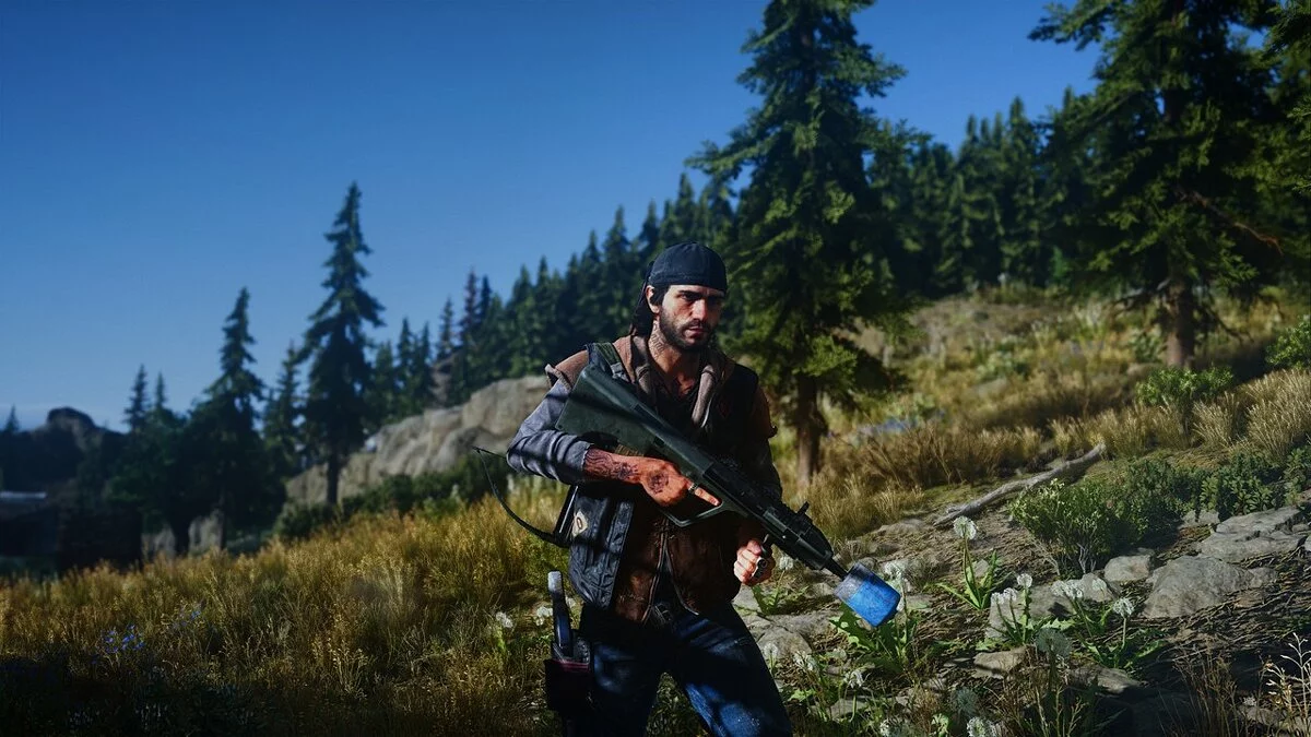 Days Gone — Лучший HDR и цвет