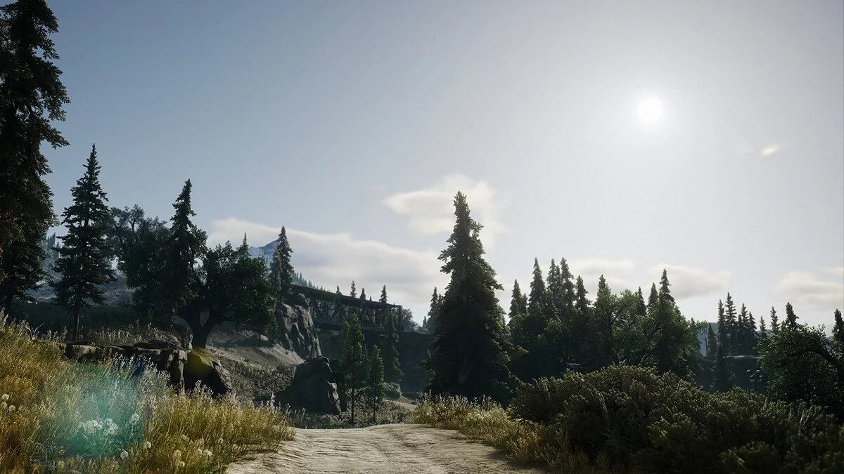 Days Gone — Лучший HDR и цвет
