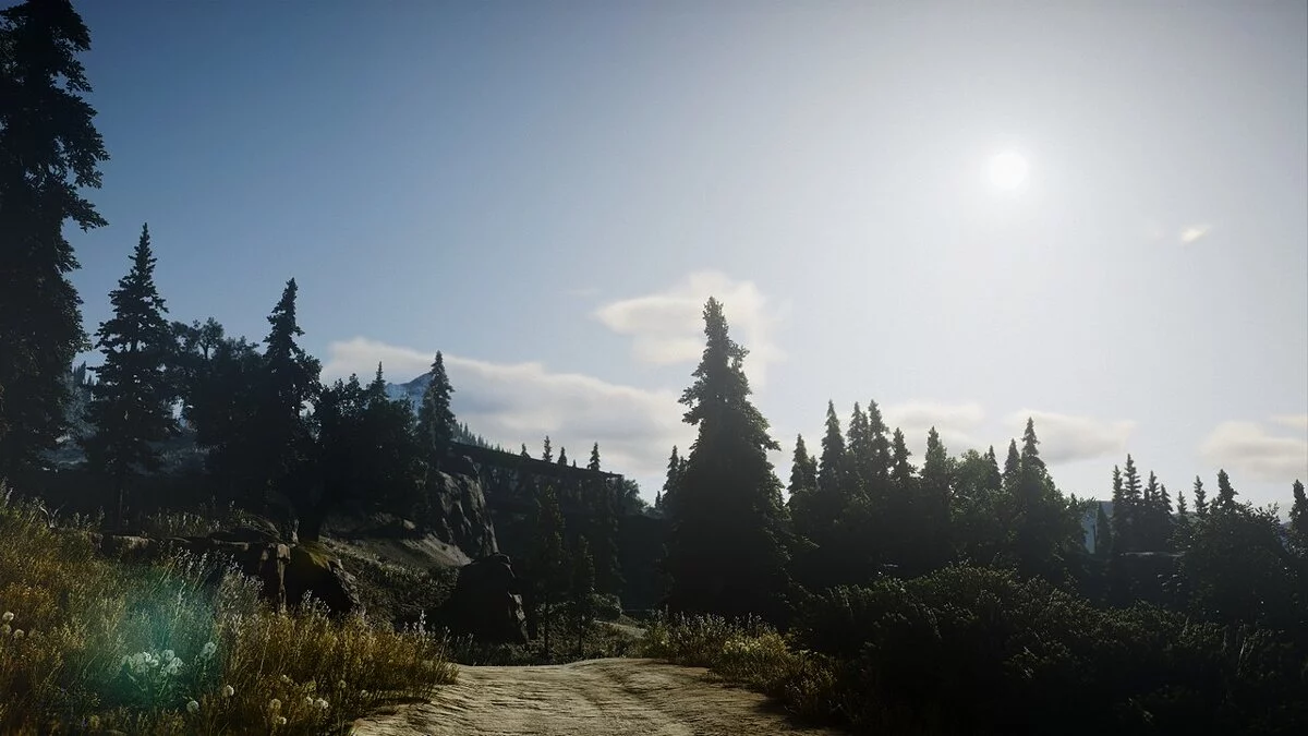 Days Gone — Лучший HDR и цвет