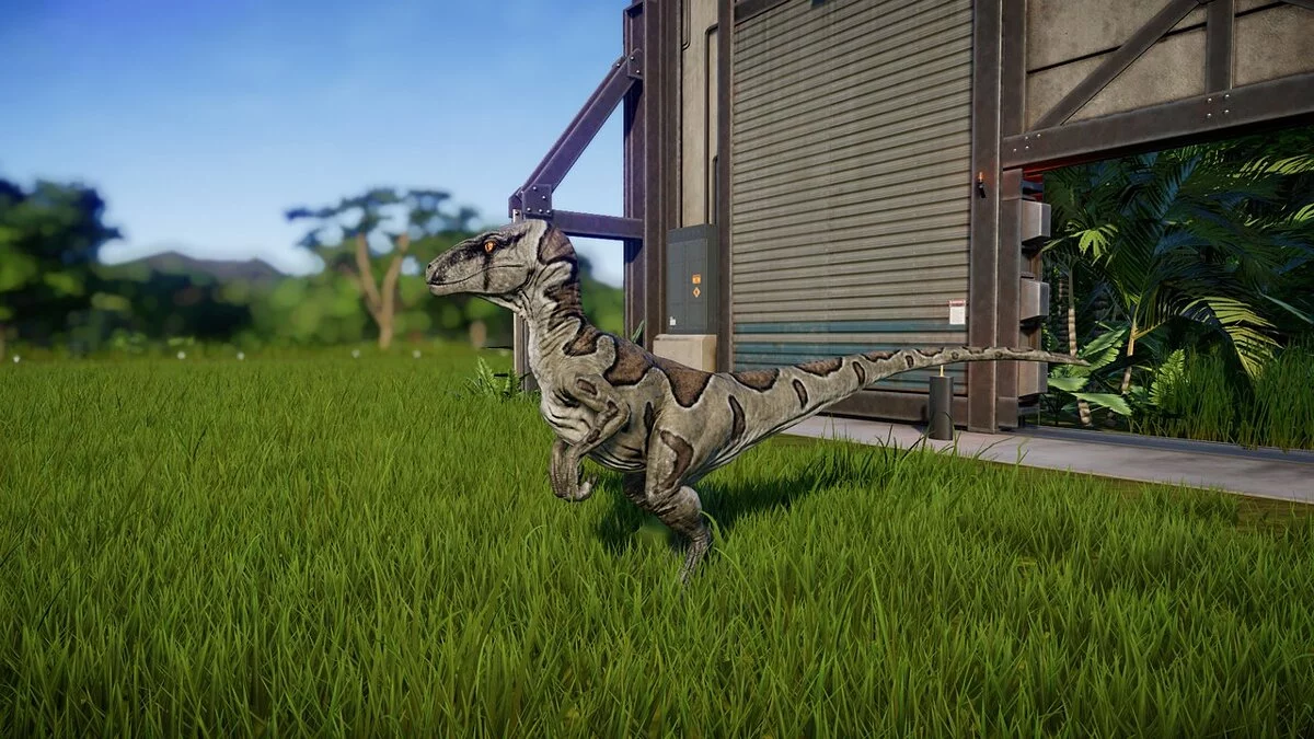 Jurassic World Evolution — Новые раскраски для велоцираптора