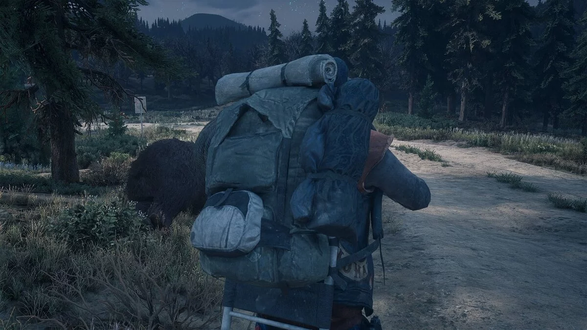 Days Gone — Большой рюкзак