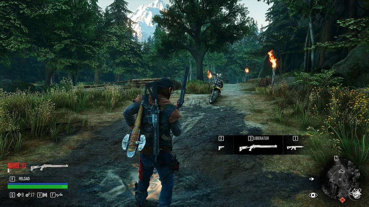 Days Gone — Дробовики в специальном слоте