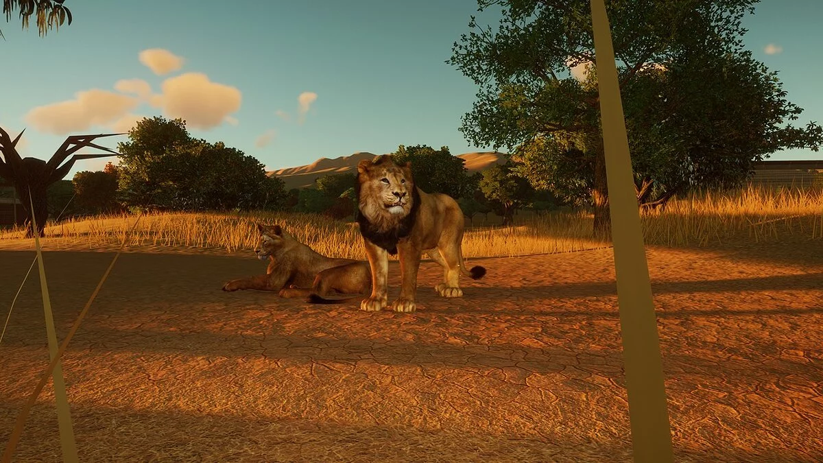 Planet Zoo — Новый вид - Азиатский лев