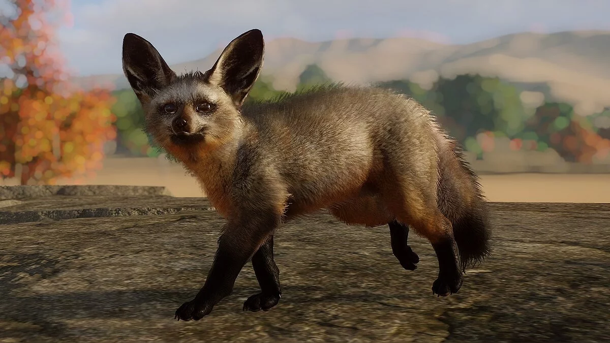 Planet Zoo — Летучая ушастая лисица