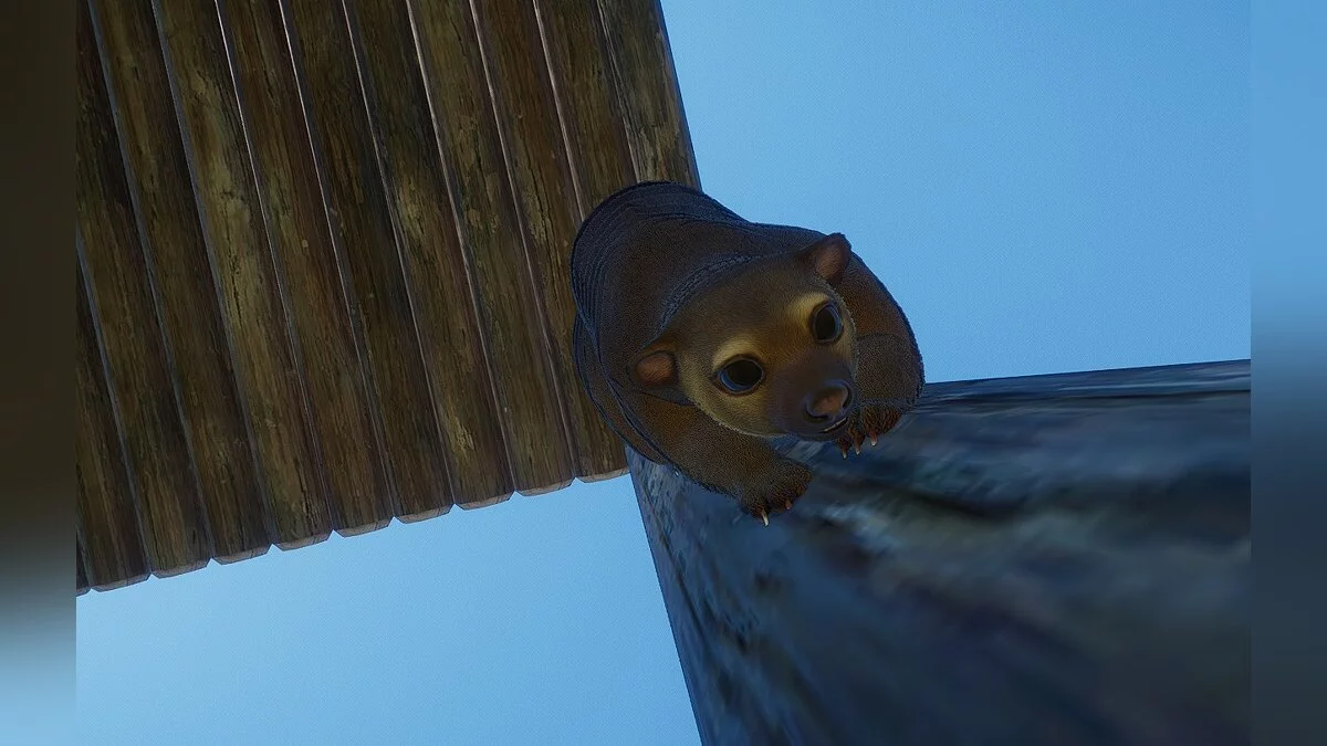 Planet Zoo — Кинкажу - новый вид