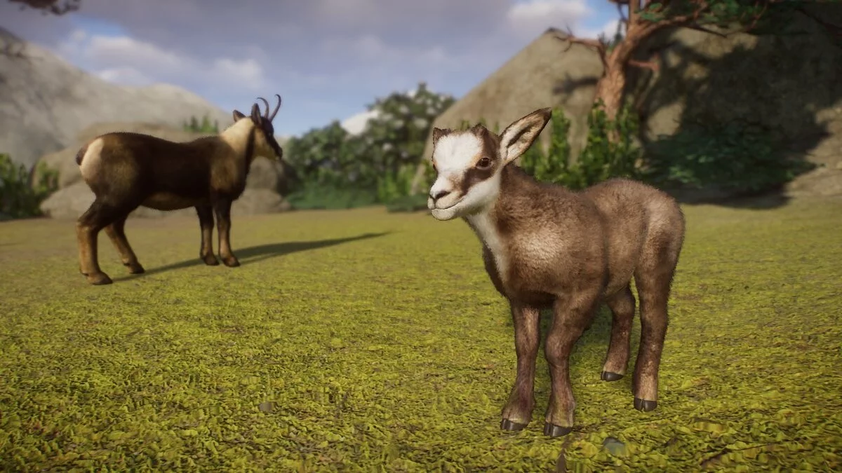 Planet Zoo — Пиренейская серна - новые виды