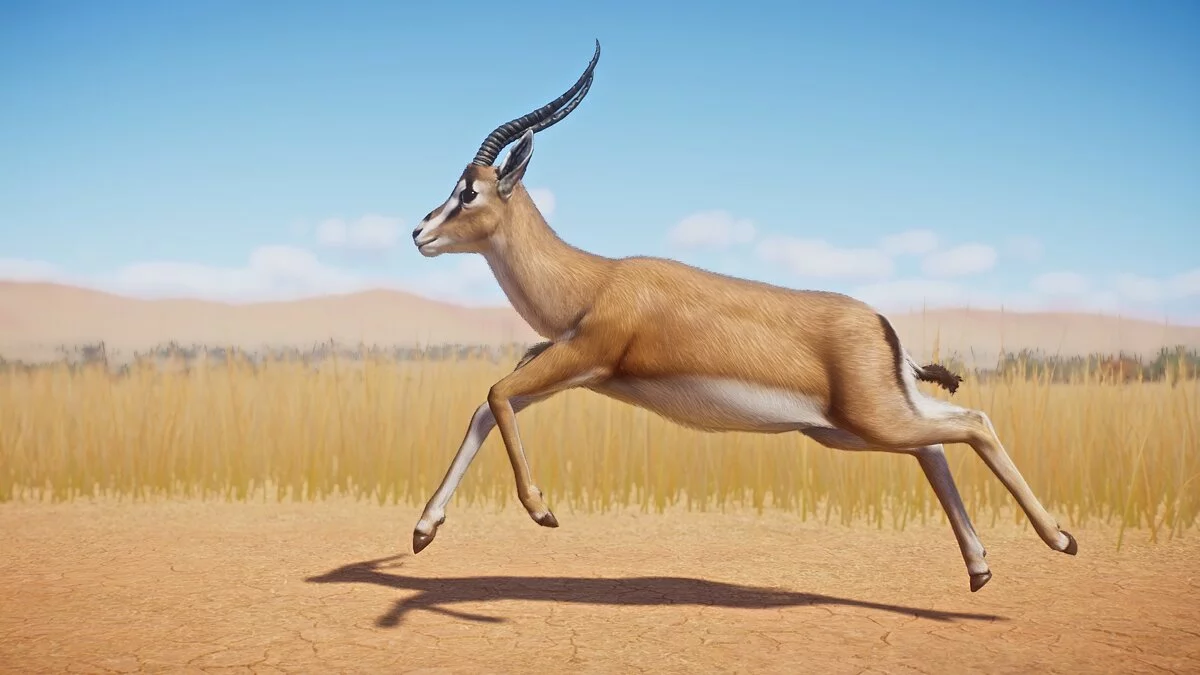 Planet Zoo — Газель Гранта - новый вид