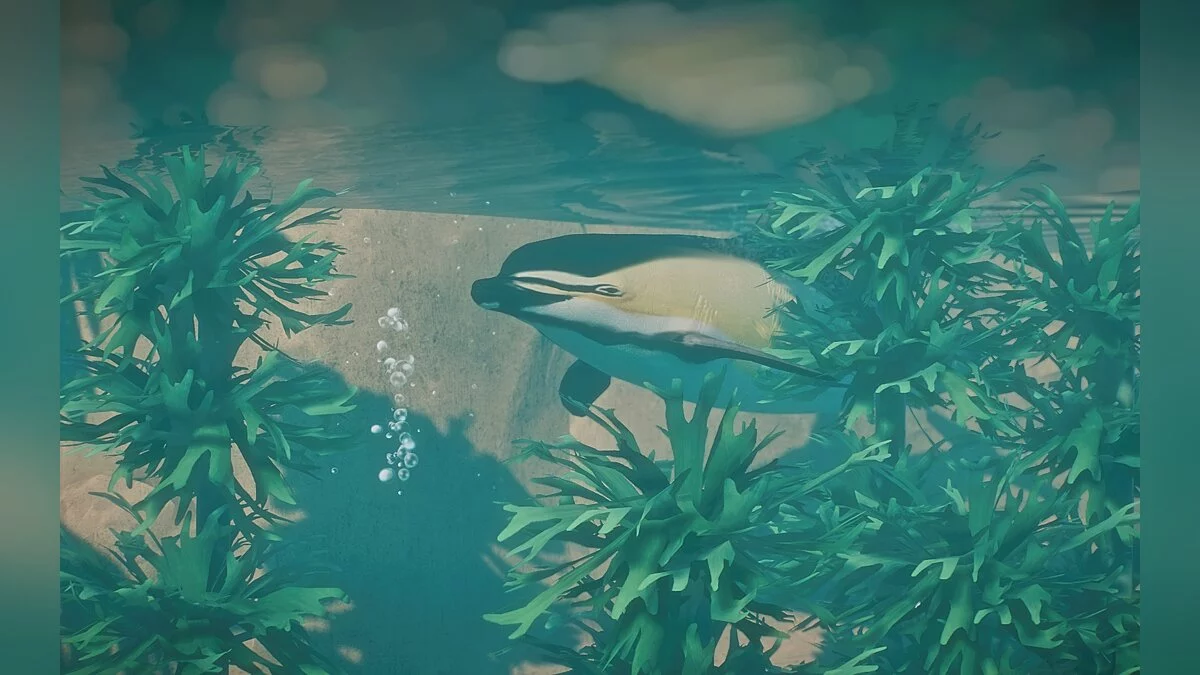 Planet Zoo — Обыкновенный дельфин с коротким клювом